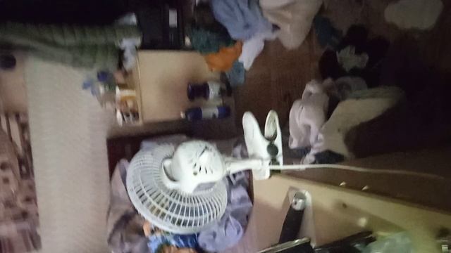 хата сельского бандита.