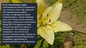 Николаев 10 августа 2025 года (новости)