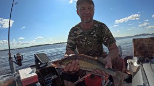 Судак на мандулу.