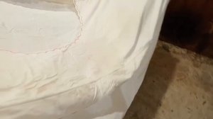 Мопеды сериал | Серия 1596