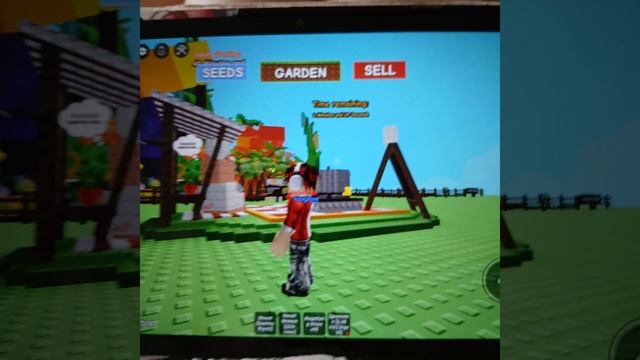 КАК ПРИГОТОВИТЬ ДИВАЙН ФРУКТ В ВЫРАСТИ САД