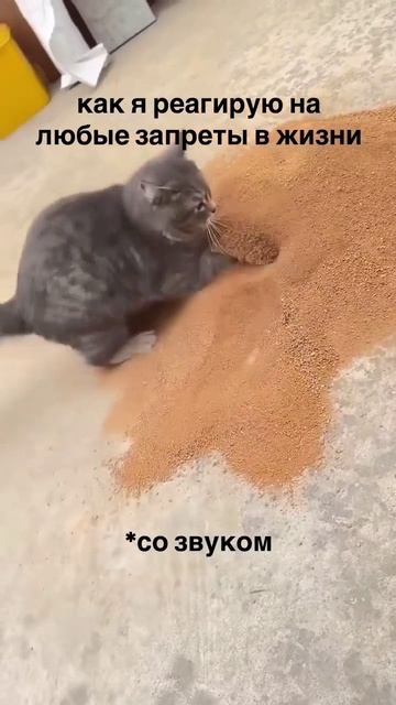 Когда нельзя, но хочется 🤣