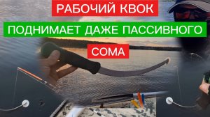 КВОК на СОМА. Обзор и характеристики моих КВОКОВ.