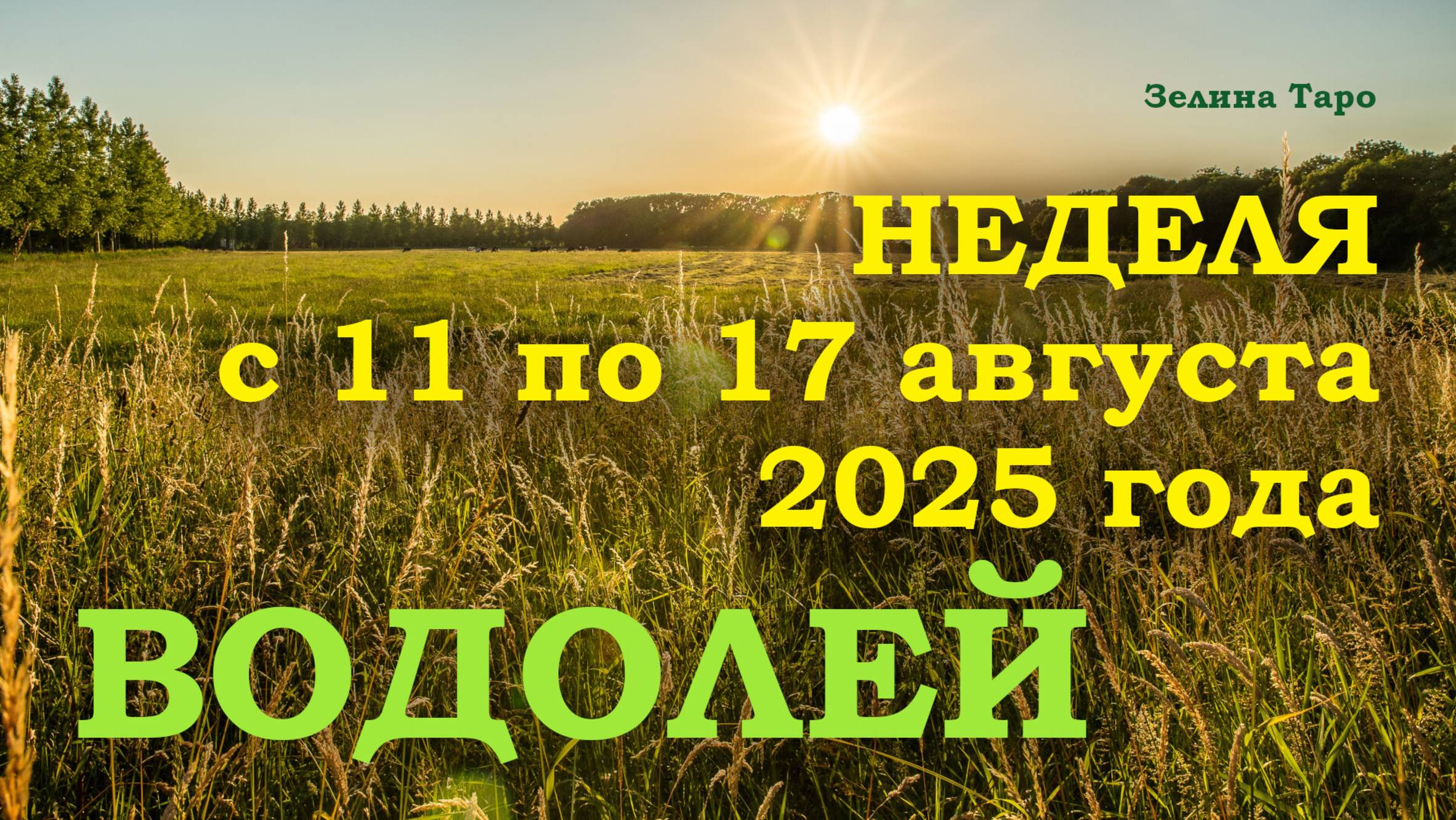 ВОДОЛЕЙ | ТАРО прогноз на неделю с 11 по 17 августа 2025 года