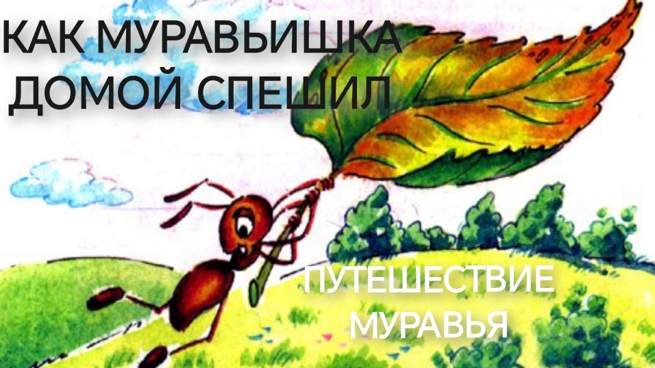 Как Муравьишка домой спешил.Путешествие Муравья (аудиосказка)