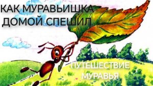 Как Муравьишка домой спешил.Путешествие Муравья (аудиосказка)