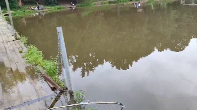 Хороший зеркаш. смотреть онлайн