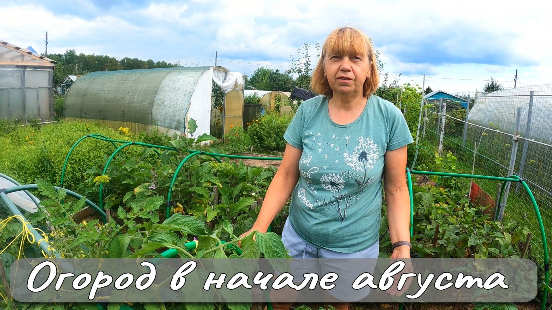 ОГОРОД В НАЧАЛЕ АВГУСТА смотреть онлайн