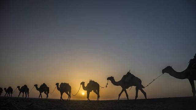 Пайғамбарлар тарихи 1-кисм ( Paygambarlar Tarixi 1-qism)