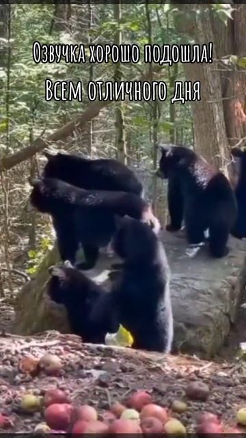 ну граждане алкоголики..... смотреть онлайн