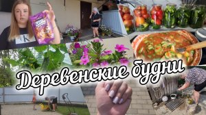 ВЛОГ🍅РАСПАКОВКА ИЗ ЧИЖИКА🛍ПРОДОЛЖАЮ ЗАГОТОВКИ НА ЗИМУ🥒🧄