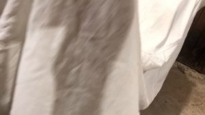 Мопеды сериал | Серия 1598