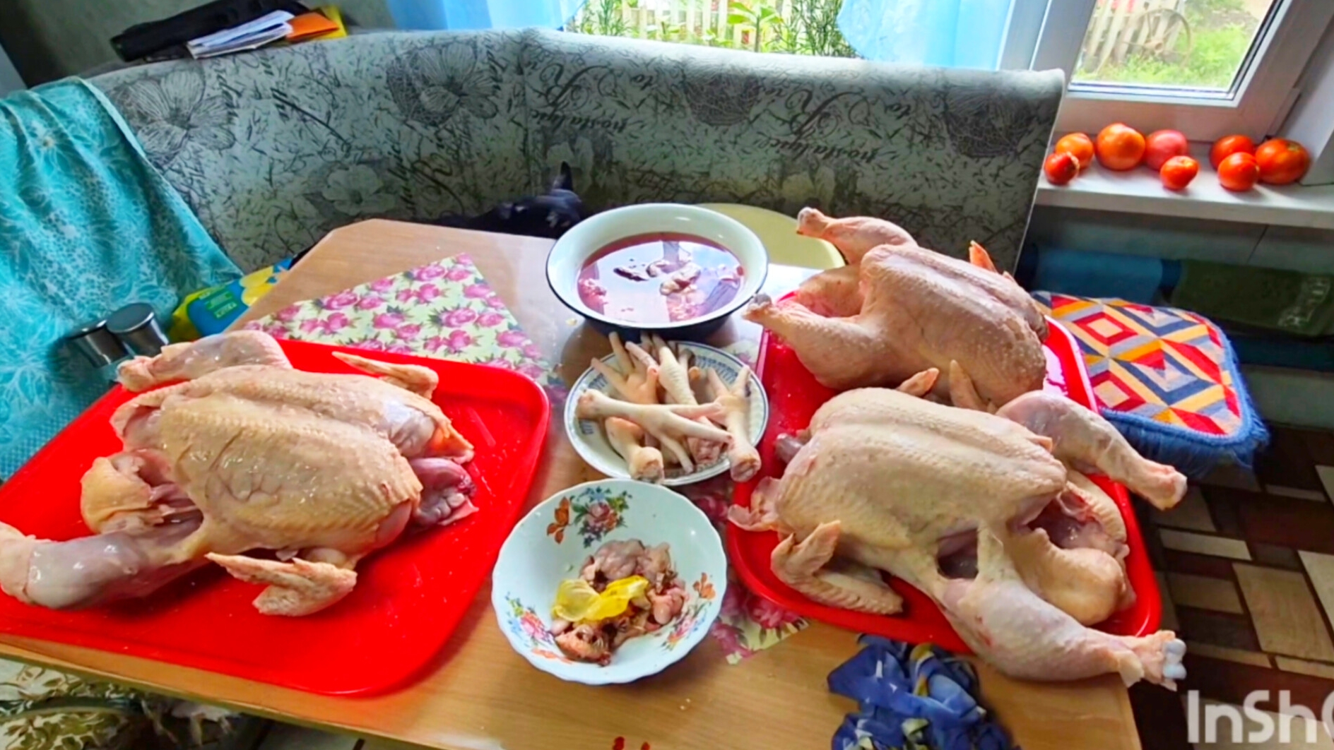 Живу в деревне Наслаждаюсь,но кто не любит землю и труд,не советую переезжать#изгородавдеревню# смотреть онлайн