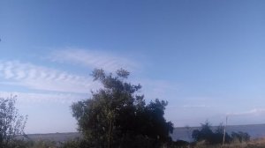 VID_20250809_181039.mp4