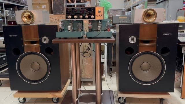 Ионный высокочастотный твиттер Acapella Ion TW 1S #2