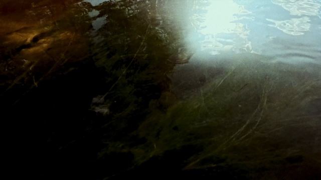 The Pre-Raphaelite Brotherhood, PRB