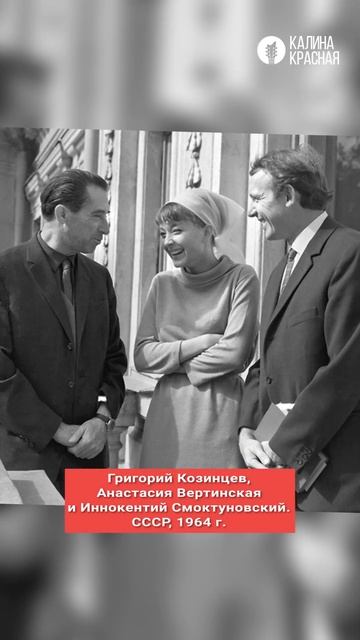 Редкие кадры советских звёзд: Высоцкий, Варлей, Вертинская, Папанов и Никулин #shorts смотреть онлайн