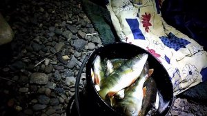 Рыбалка с супругой на тогуна.