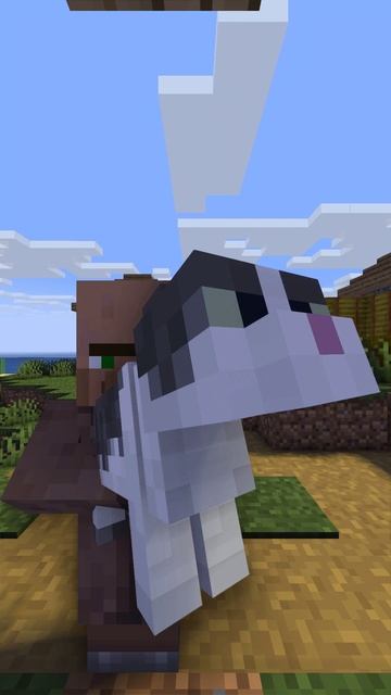 DOORBELL Камера Кошка смотреть онлайн