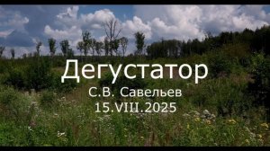 С.В. Савельев - Дегустатор