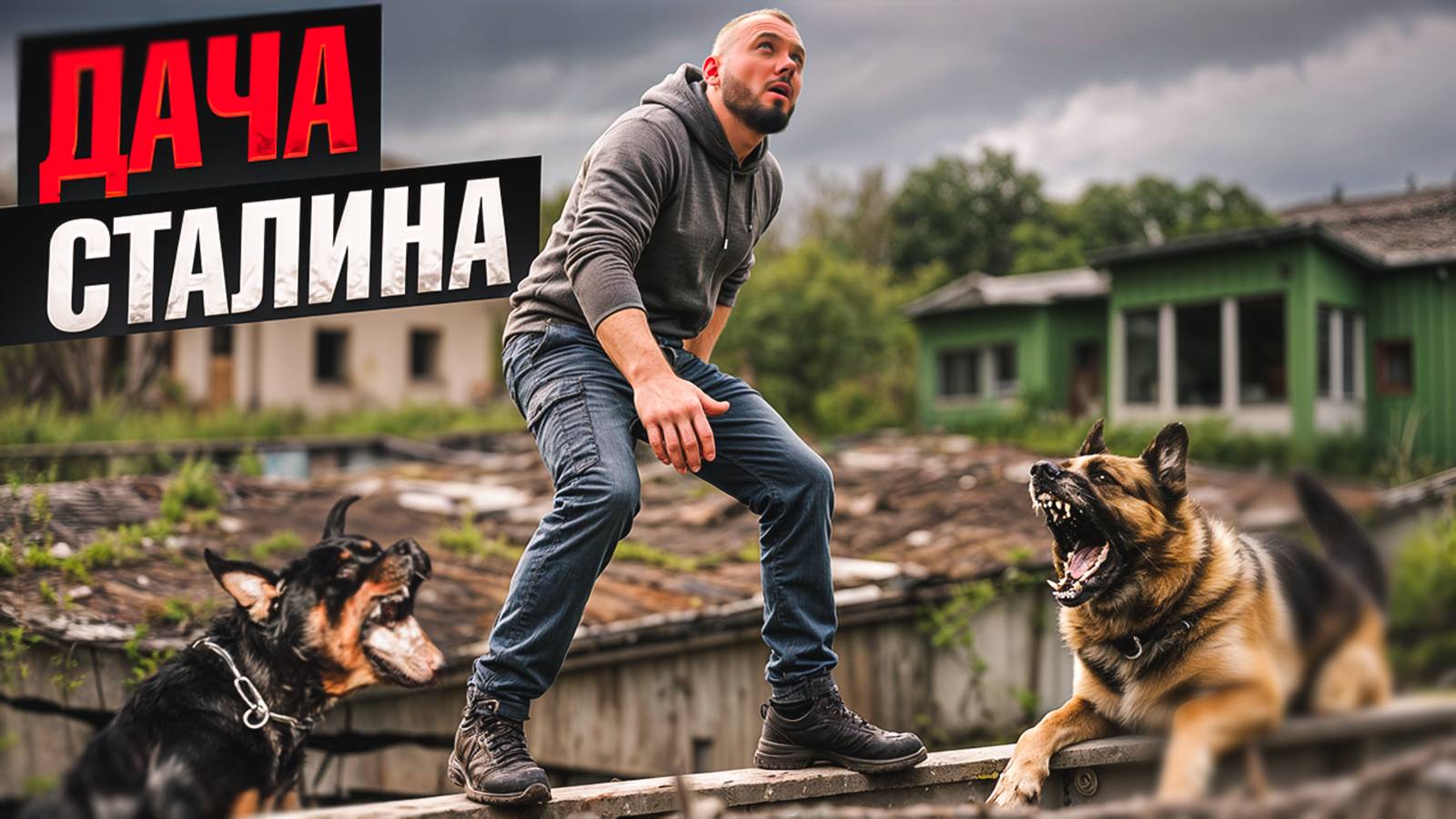 Сталинский бункер. Что скрывает дача Сталина сейчас. Охрана и собаки. смотреть онлайн