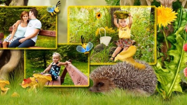 Проект ProShow Producer - Вот такое у нас лето