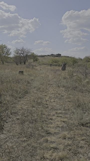 Заповедник 