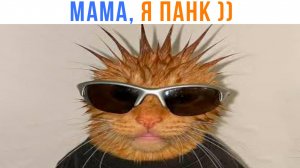 КОТ ПАНК ))) Приколы с котами | Мемозг 1647