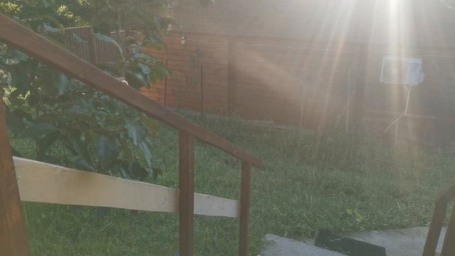 СОЧИ ГОРНОЕ ЛОО УТРО 10.08.2025 смотреть онлайн