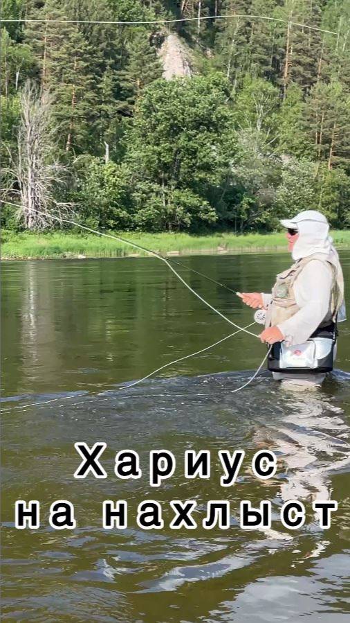 Ловля хариуса на нахлыст. Красивая зрелищная рыбалка на чистой таежной речке