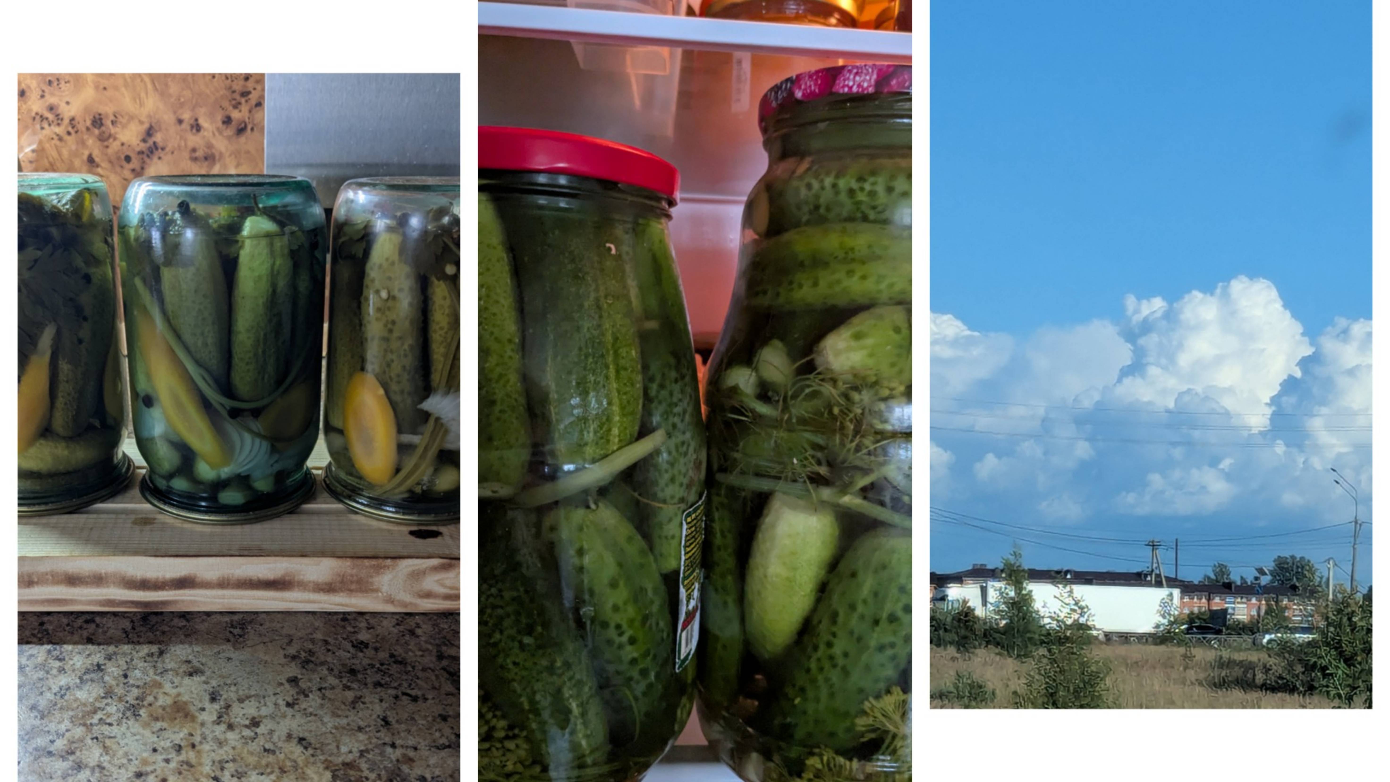 Моя засолка огурцов, купила чеснок на посадку. смотреть онлайн