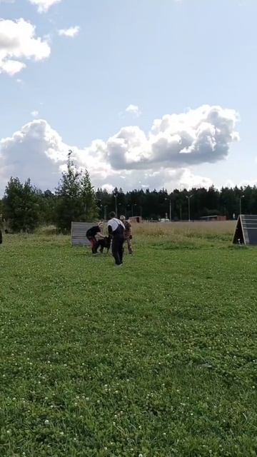 "ДЕРЖИ СВОЕГО КАБАНА!" Первое проф. занятие по ЗКС смотреть онлайн