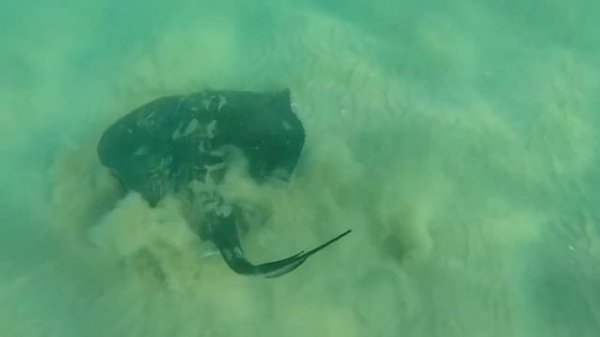 Milleniumkid Vielleicht Vielleicht Ft Jbs