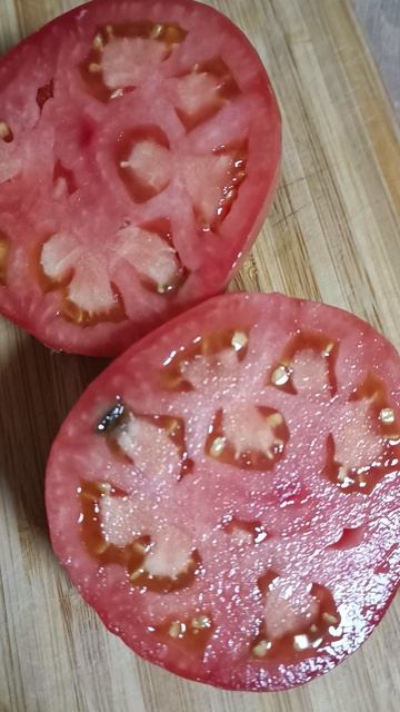 Взвешивание и разрез томатов Цезарь и Малиновый восход, выращенных в ОГ Подмосковья на 9августа 2025