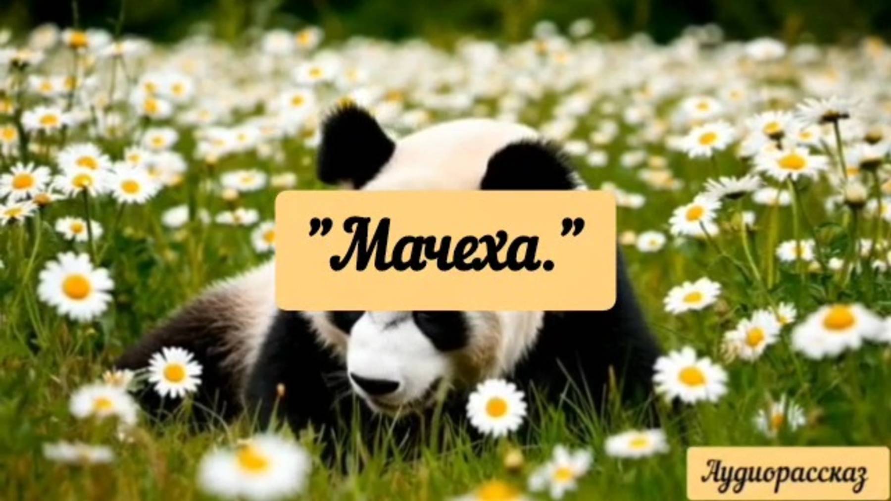 Без лишних слов. Подлинная история.