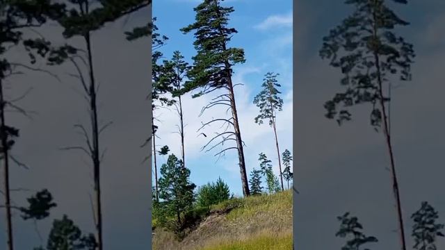 ангара красный остров.mp4 смотреть онлайн