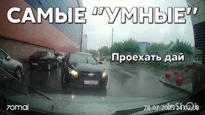 Подборка САМЫХ "УМНЫХ" водителей #1165