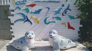 Дельфинарий Анапа