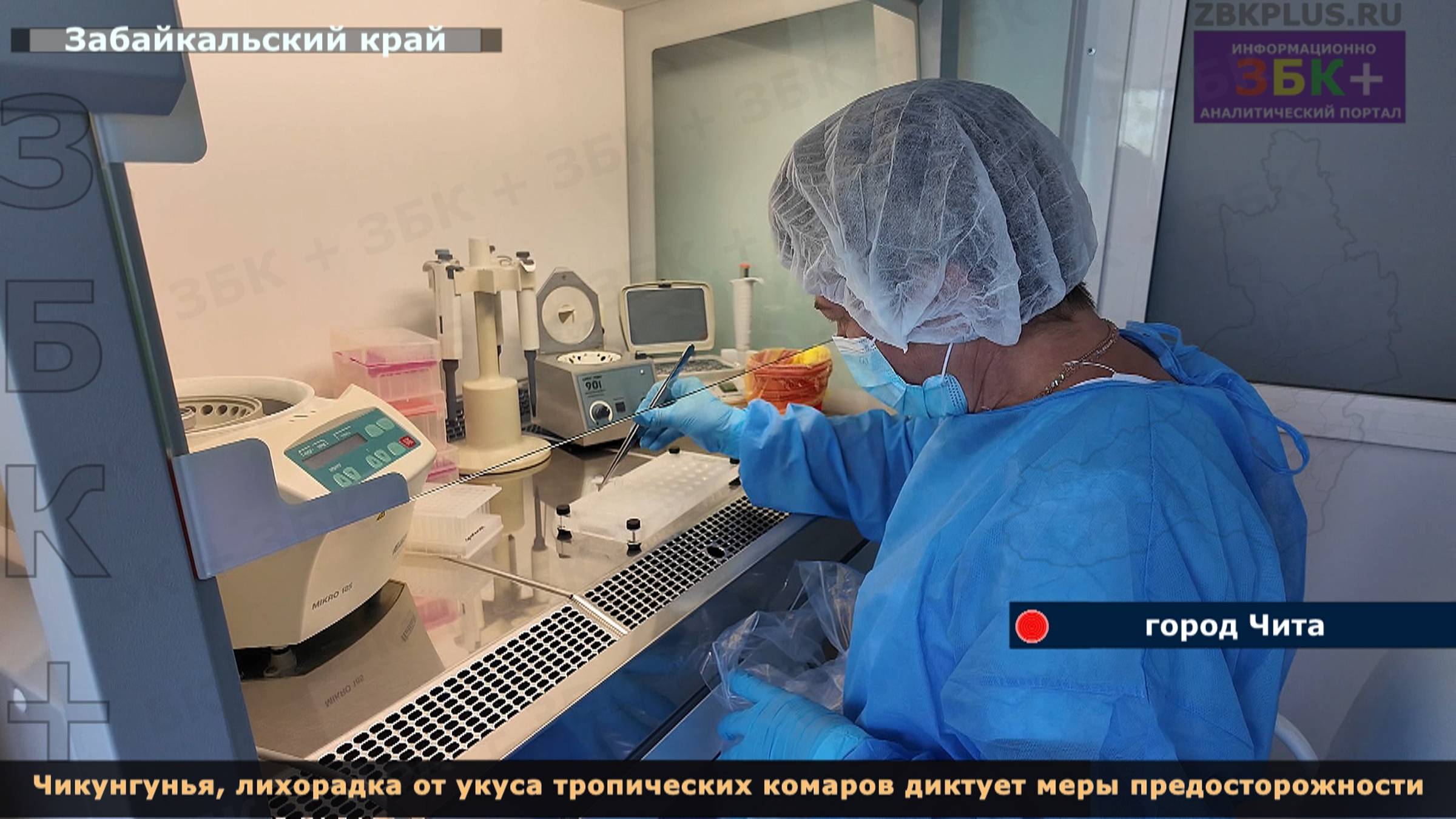 ЗБК + Чикунгунья, лихорадка от укуса тропических комаров диктует меры предосторожности! смотреть онлайн