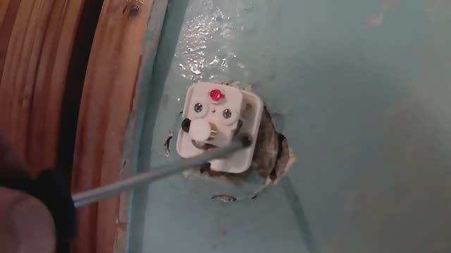 Замена кнопки звонка.