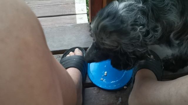 СОЧИ ГОРНОЕ ЛОО ВЕЧЕР 10.08.2025 смотреть онлайн