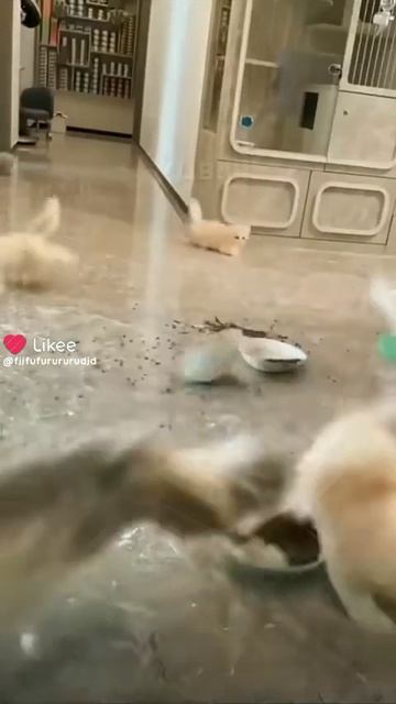 я и мой брат