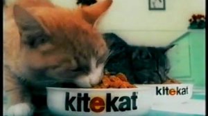 Польская реклама корма Kitekat (TVP2 Польша, 2000)