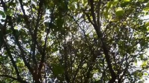 Моё Родное😍