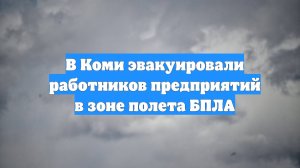 В Коми эвакуировали работников предприятий в зоне полета БПЛА