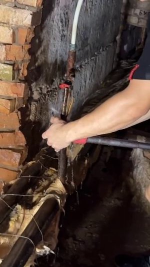 Посвящение в Сантехники жкх