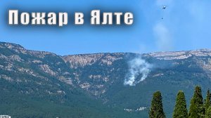 Крым. Пожар в Ялте. Цены на Овощном рынке и цены на рыбу в магазине "Дикий океан". День города Ялты