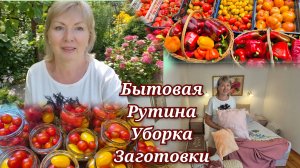 Бытовая рутина.Убрать в доме.Сделать заготовки Накормить мужа до отвала и вкусно
