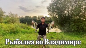 Рыбалка на судака во Владимире р. Клязьма