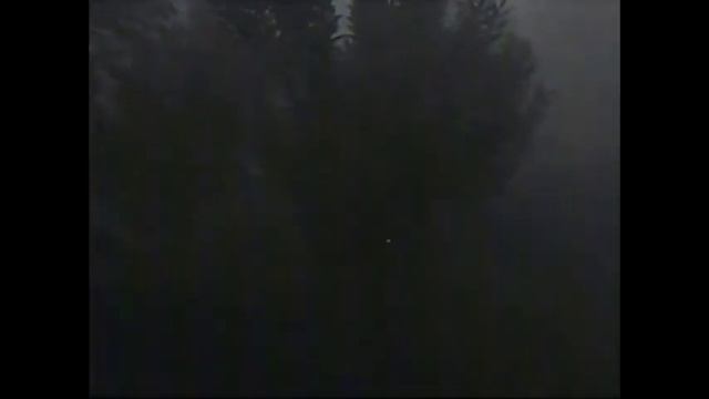 Backrooms 16 - Consolidated movie #2 смотреть онлайн